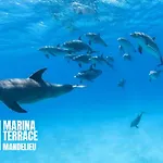 アパート Marina Terrace